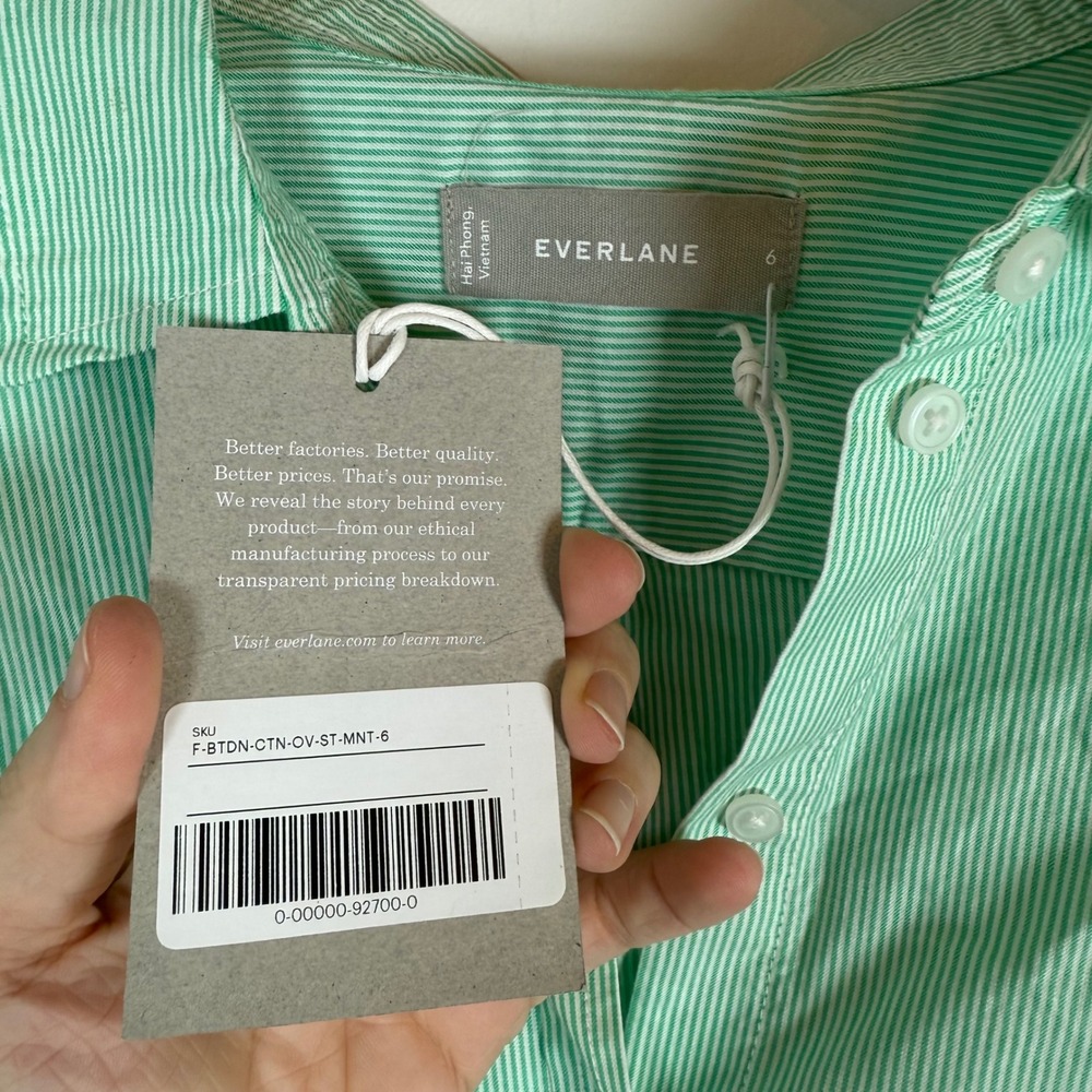 Everlane The Silky Cotton Relaxed Micro Pinstripe Button Up Shirt Top NEW NWT 6 - Picture 2 of 3